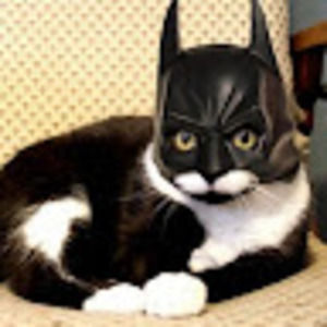 Meet your Posher, Catt